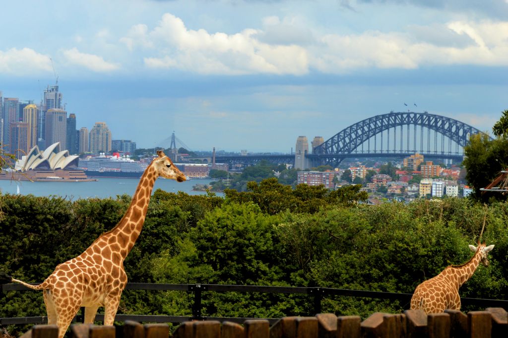 Taronga Zoo Sydney Tickets