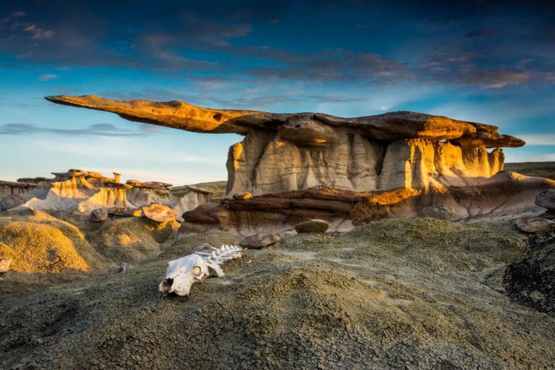 8 Winning Images Capture The Beauty Of Protected Lands