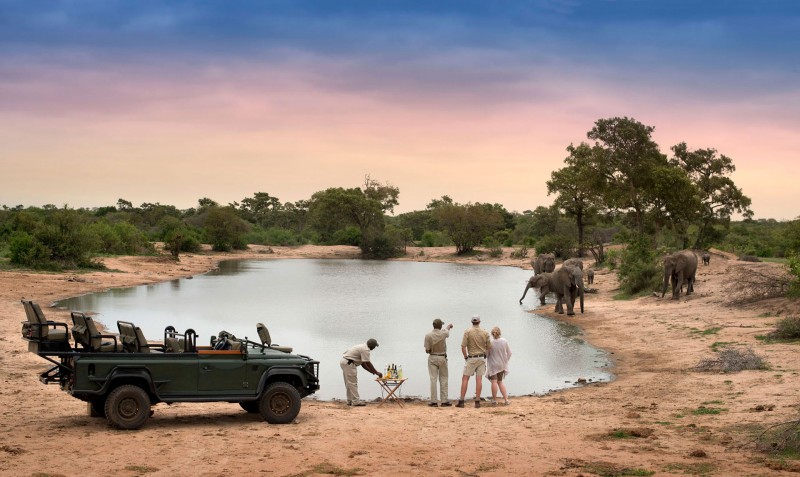 15 Things You Must Know Before Going on Safari in South Africa