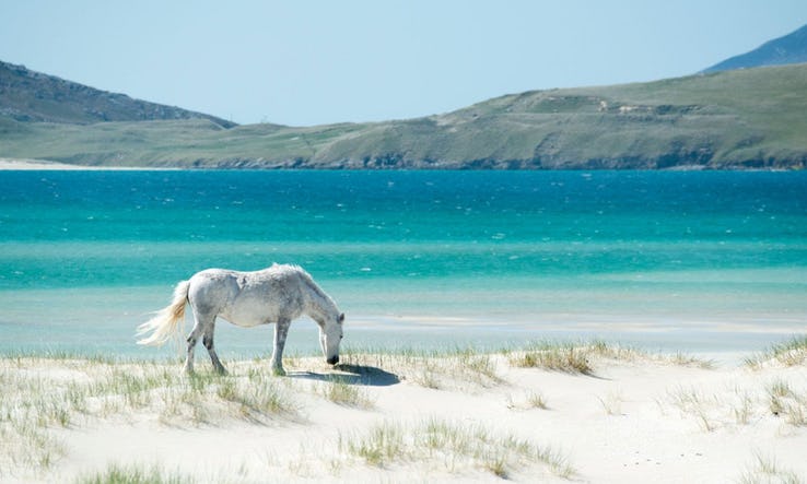 25 Most Beautiful White Sand Beaches