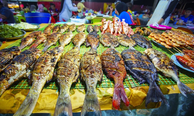 7 Things You Must Do In Borneo