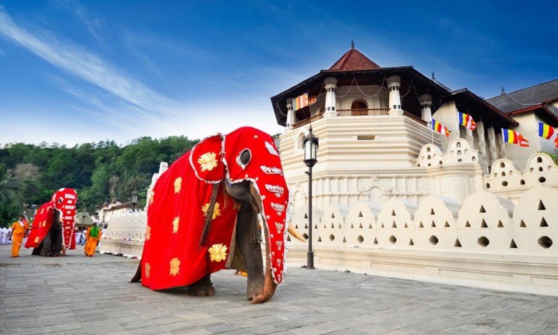 9 Of The Best Things To Do In Sri Lanka