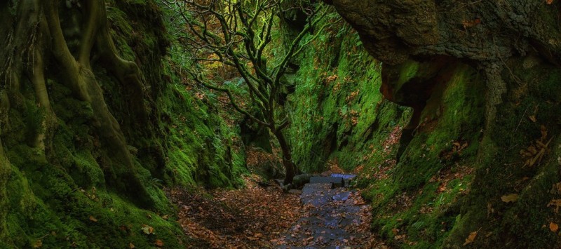 Beautiful Walking Trails And Hikes To Take Around Glasgow