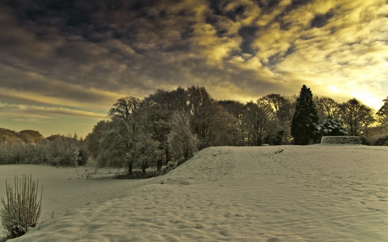 Beautiful Walking Trails And Hikes To Take Around Glasgow