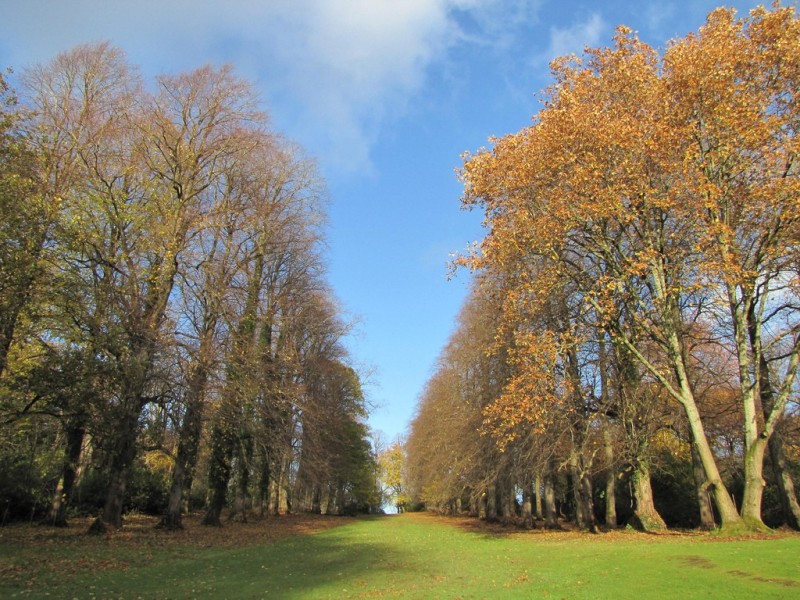 Beautiful Walking Trails And Hikes To Take Around Glasgow