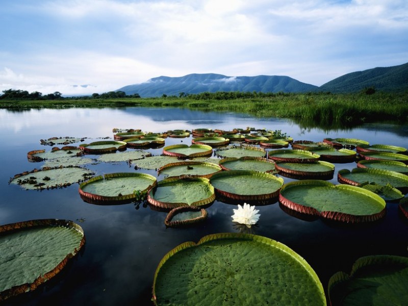 The Most Naturally Beautiful Countries in the World