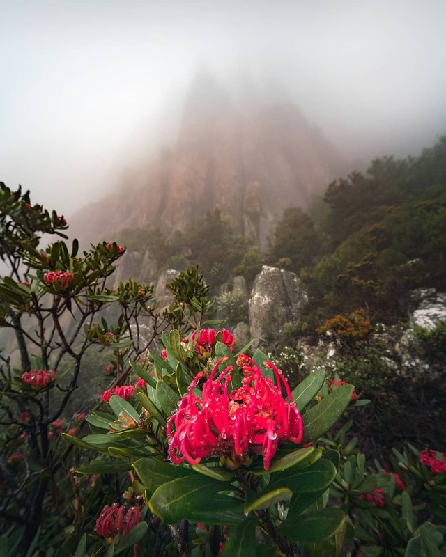 Hobart, Tasmania