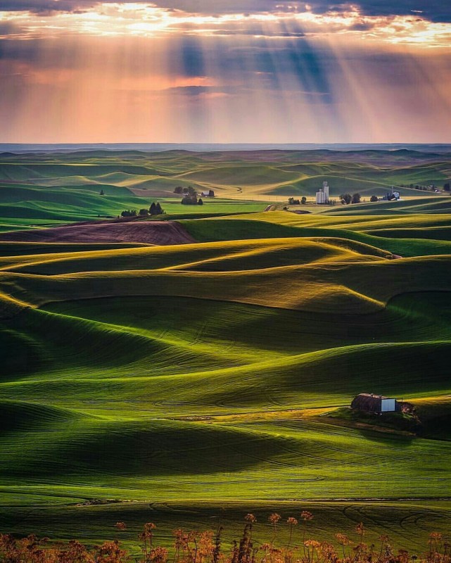 Palouse, Washington