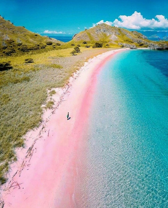 Pink Beach Komodo Island