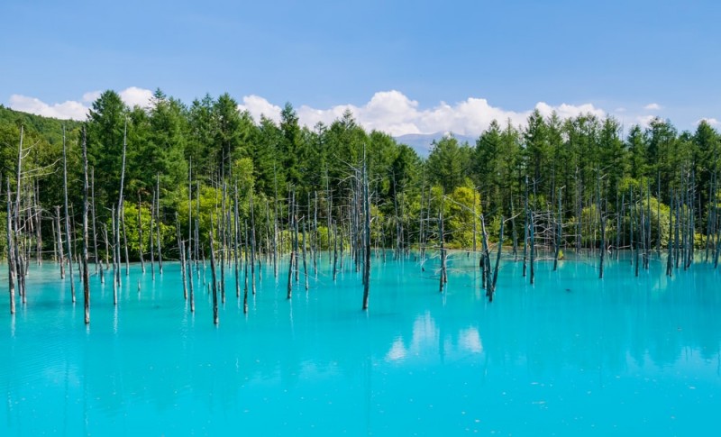 The 16 Most Beautiful Places in Japan You Didn't Know Existed