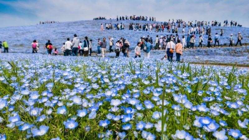 The 16 Most Beautiful Places in Japan You Didn't Know Existed