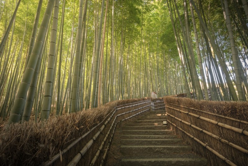 The 16 Most Beautiful Places in Japan You Didn't Know Existed