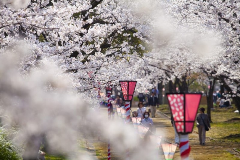 The 16 Most Beautiful Places in Japan You Didn't Know Existed