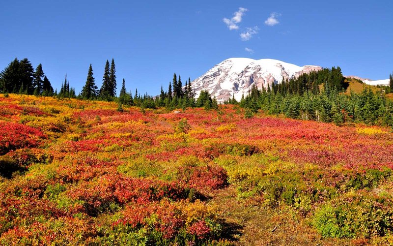 The Best National Parks To See Fall Foliage