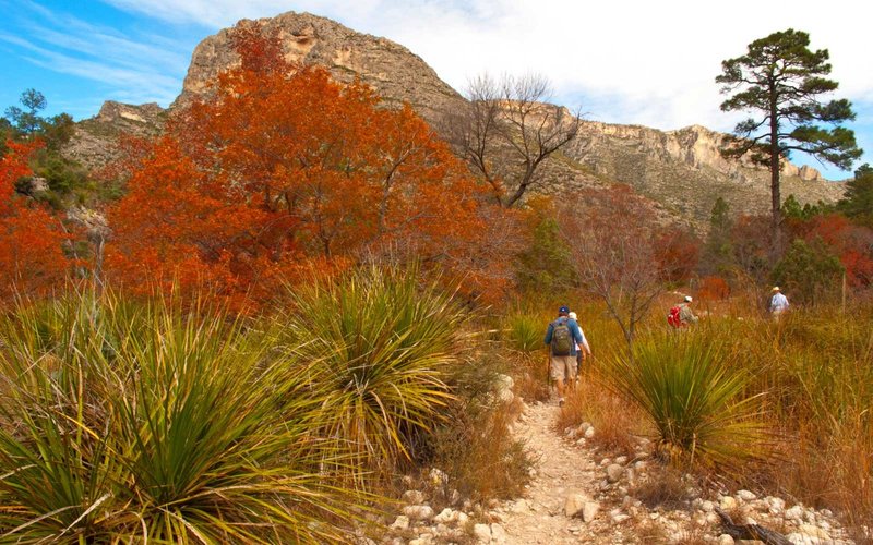 The Best National Parks To See Fall Foliage