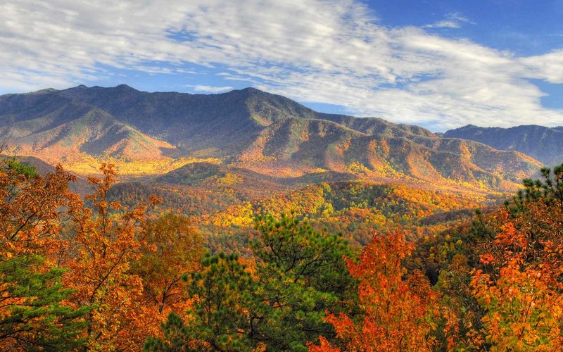 The Best National Parks To See Fall Foliage