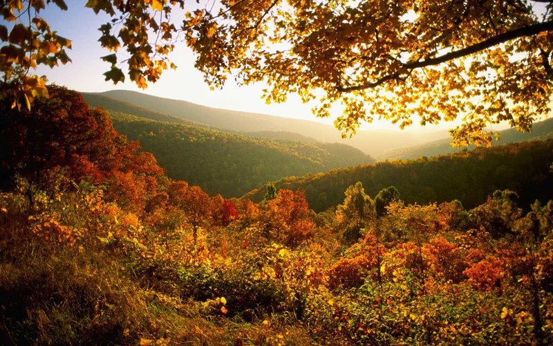 The Best National Parks To See Fall Foliage