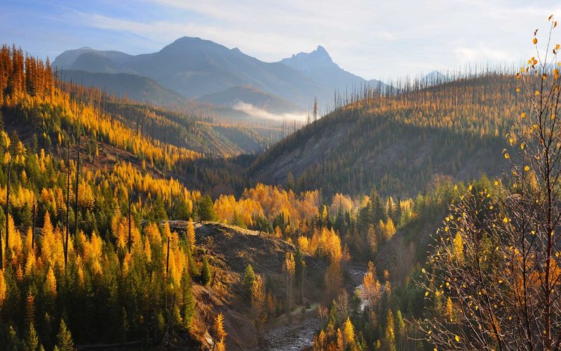 The Best National Parks To See Fall Foliage