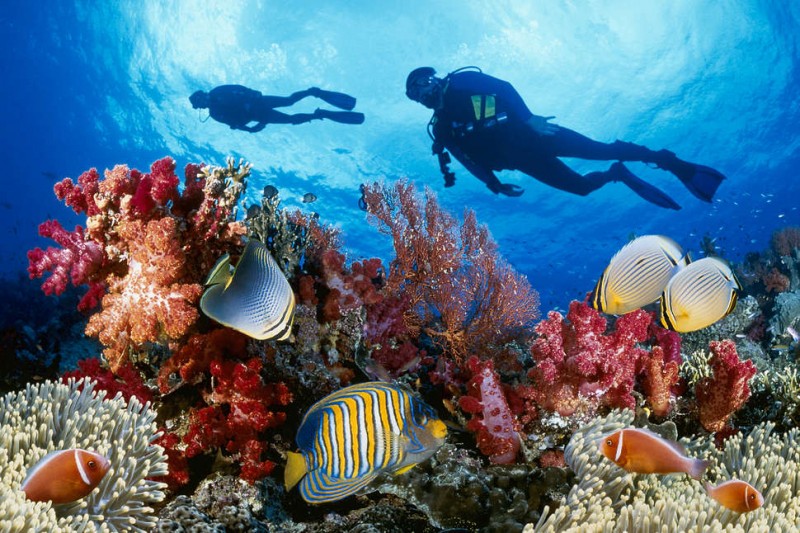 The Best Places Around the World to Scuba Dive