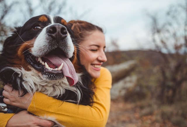 8 Tips That Could Lengthen Your Dog's Life 