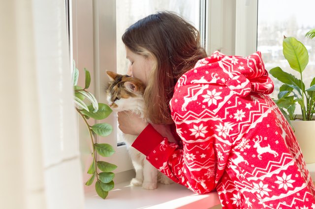 Are Cats Good for Human Health? Here Are the Proven Benefits of Having a Cat
