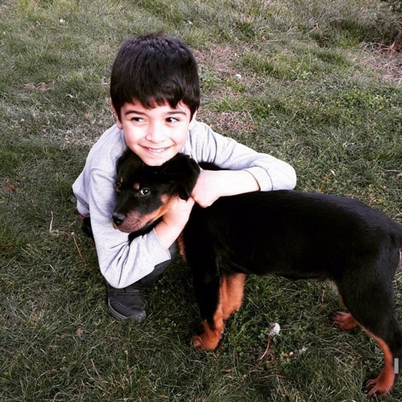 Are Dogs Good for Human Health?