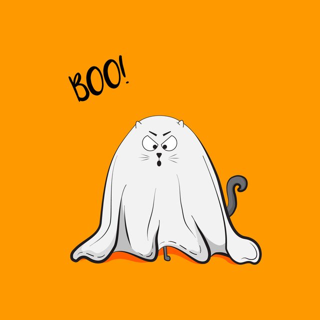 Can Cats Really See Ghosts?