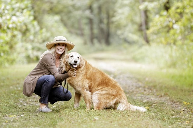 How to Help a Dog With Dementia?