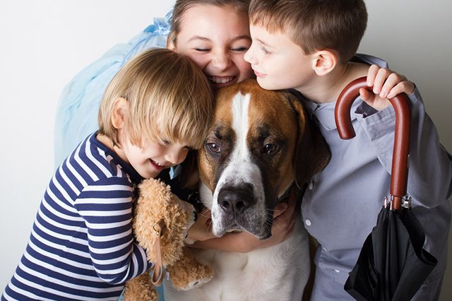 Top 10 Dog Breeds Suitable for Young Kids