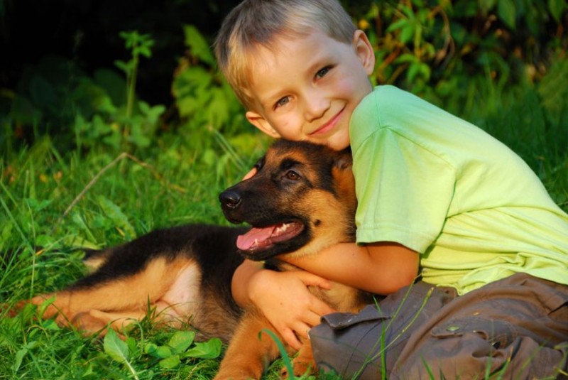 Why Do Dogs Love Their Owners?