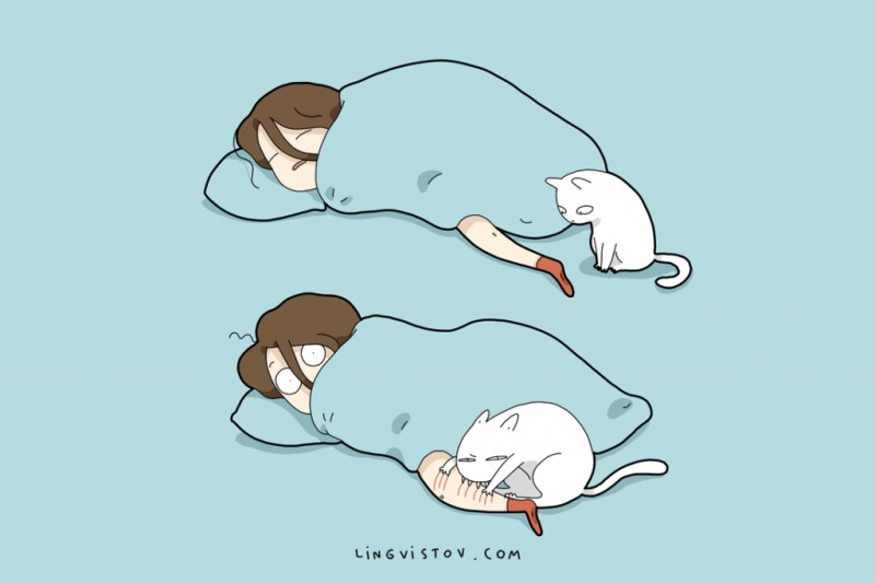 Why Does My Cat Wake Me Up At The Same Time Every Morning
