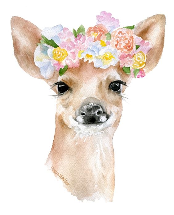 Deer Floral By Susan Windsor, Watercolor