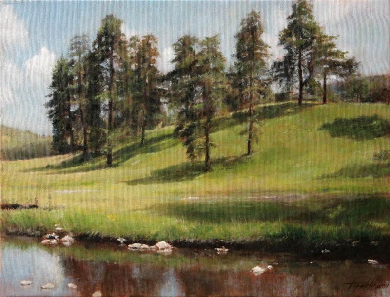 Mountain Hillside By Darko Topalski, Oil Painting