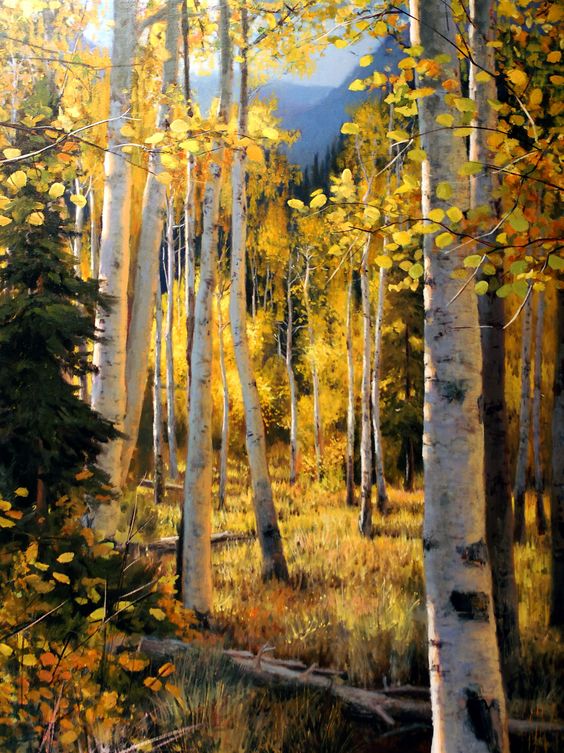 Oil Painting By Michael Godfrey, Birch Forest