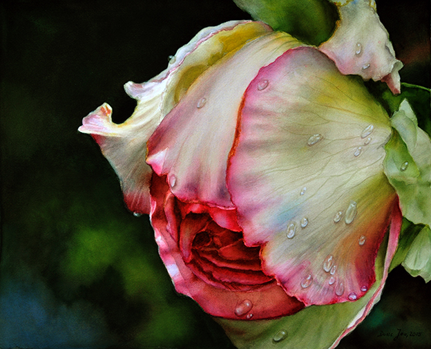 Rose Honore de Balzac by Doris Joa, Watercolor Painting