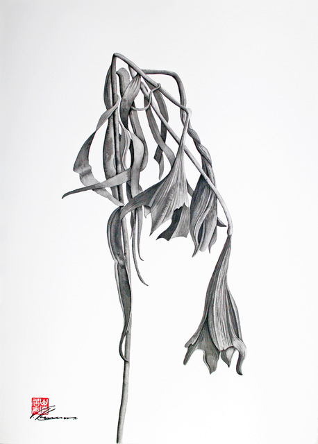 Three Bell Flowers By Walther Von Krenner