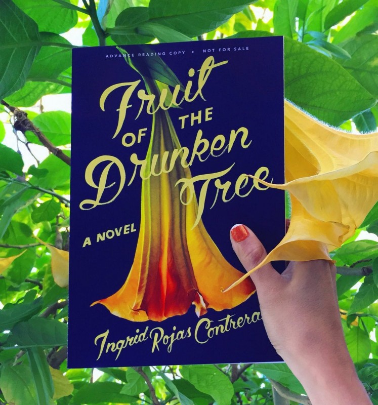 Fruit Of The Drunken Tree A Novel By Ingrid Rojas Contreras spring-themed novels