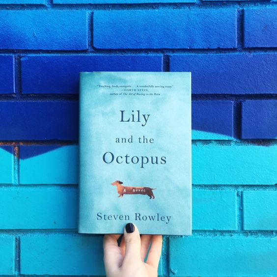 Lily and the Octopus By Steven Rowley