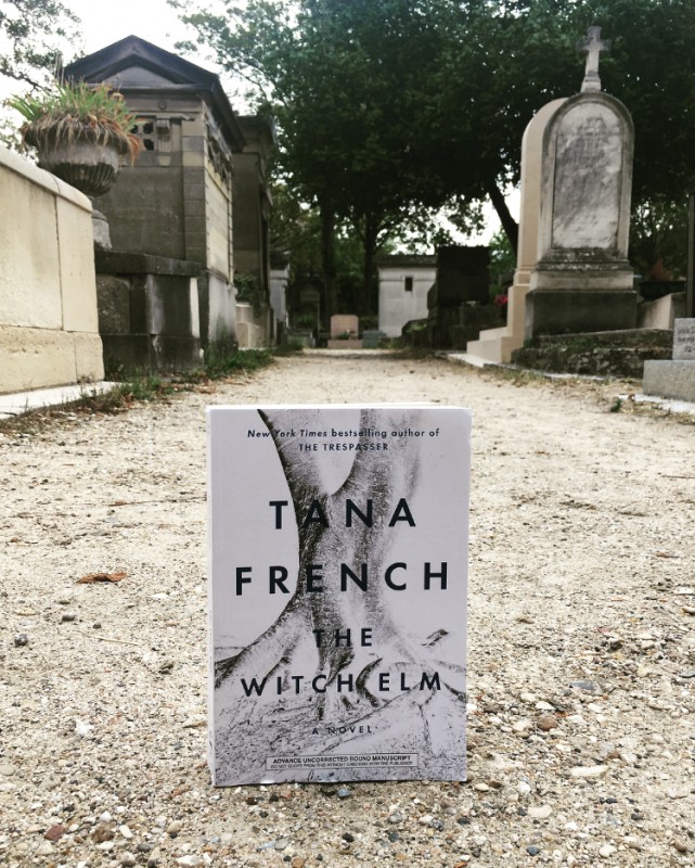 The Witch Elm: A Novel By Tana French