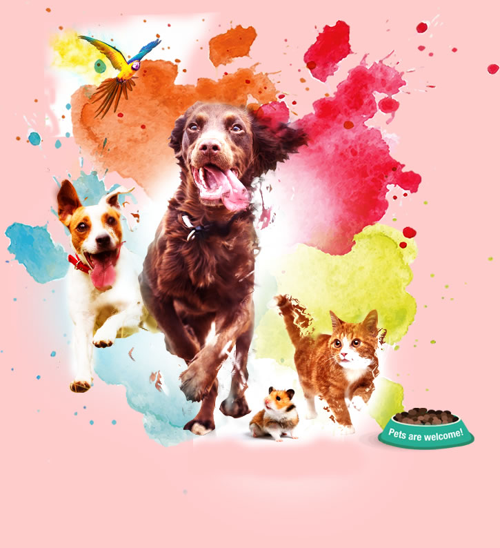 Pet Shop