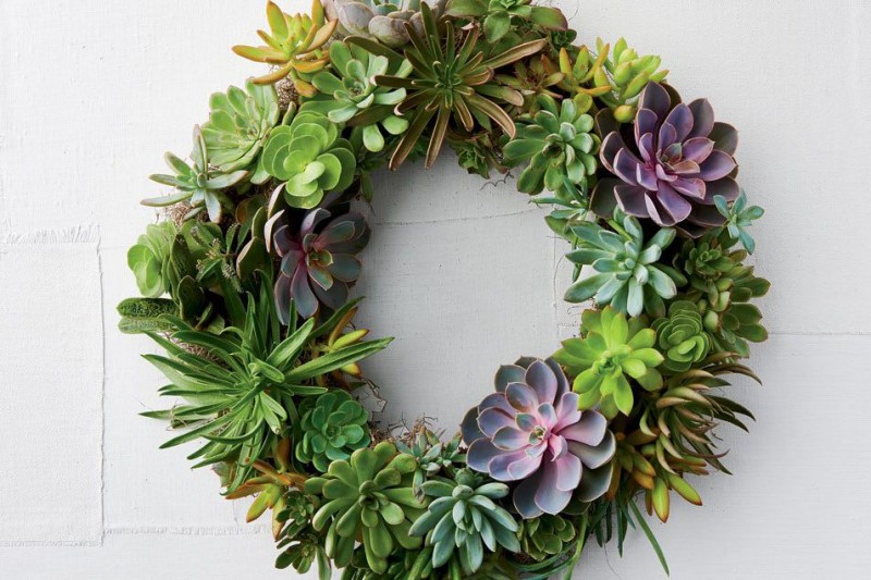 How to Make a Succulent Wreath With Real, Living Plants