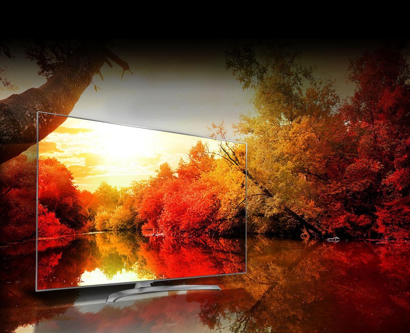 LG Electronics 65SJ9500 65-Inch 4K Ultra HD Smart LED TV