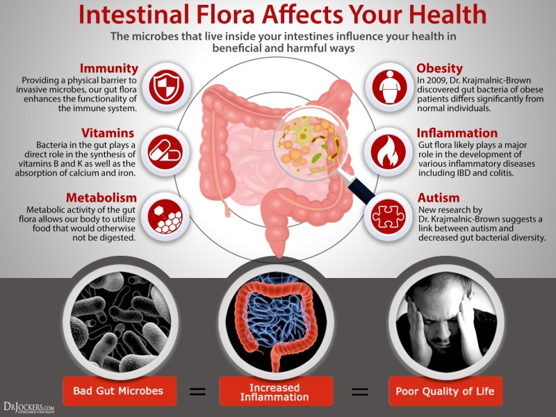 Are Gut Bacteria The Key To Healthy Aging?