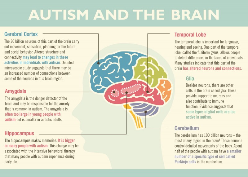 Autism: What is the link with Zinc?