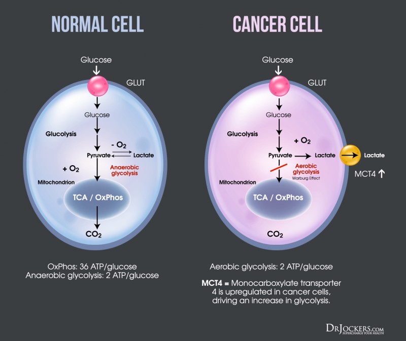 Could A Type Of Sugar Halt Cancer's March?