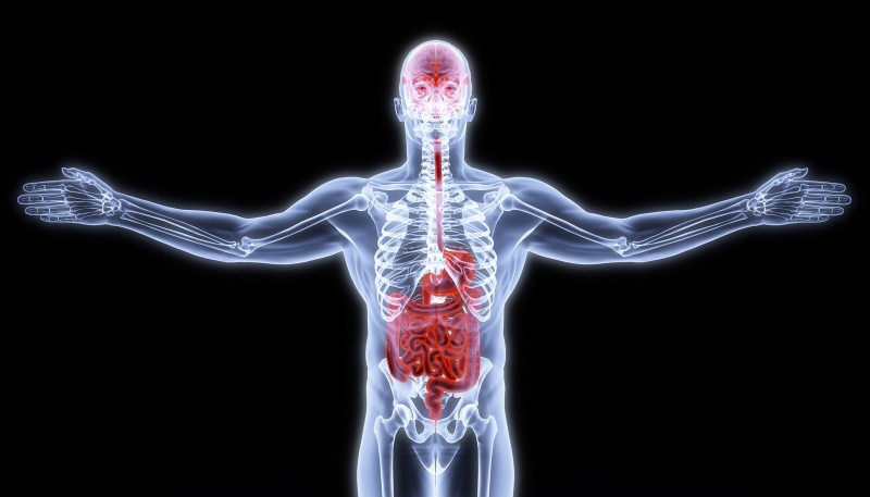 Could The Appendix Trigger Parkinson's?