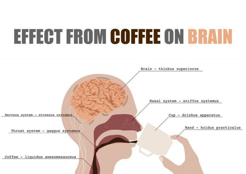 How Coffee Protects The Brain