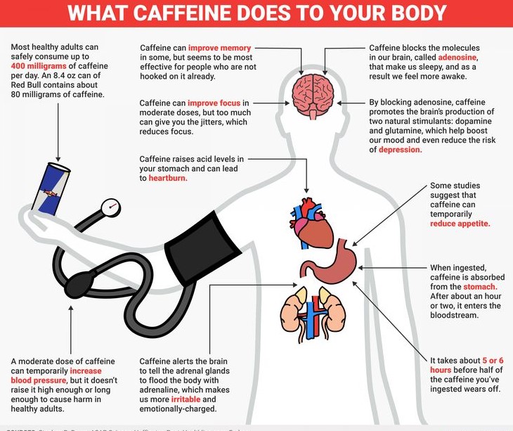 How Coffee Protects The Brain