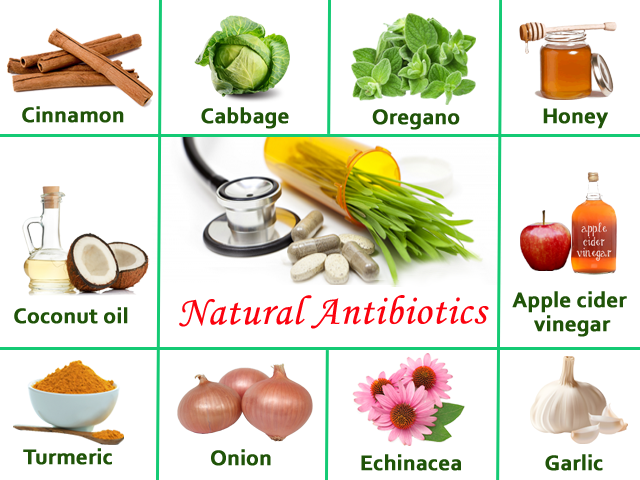 Natural Antibiotic Strips Bacteria Of Their Defenses