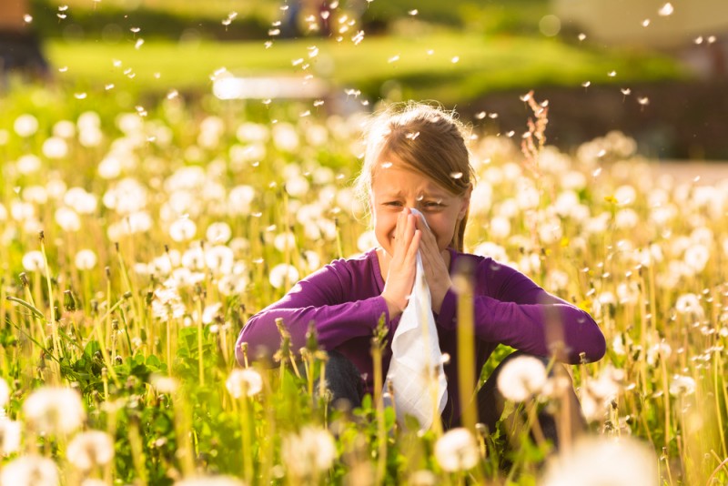 New Allergy Vaccine For Hay Fever Shows Promising Results